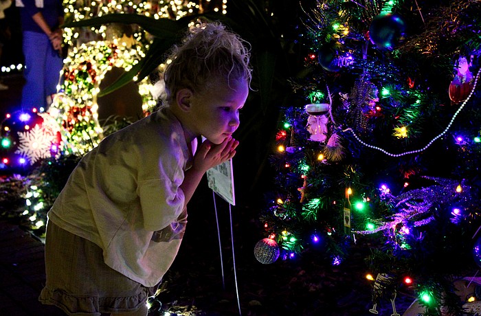 Piper Dawson checks out was she dubbed her favorite tree decorated by Lo' Key Island Grille at the opening evening of Christmas in the Garden on Nov. 30 at Longboat Island Chapel.