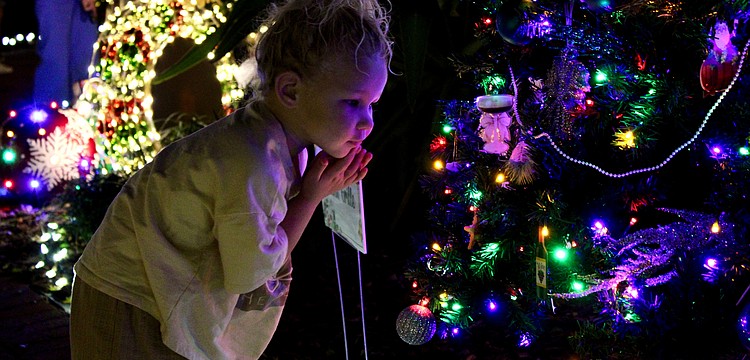 Piper Dawson checks out was she dubbed her favorite tree decorated by Lo' Key Island Grille at the opening evening of Christmas in the Garden on Nov. 30 at Longboat Island Chapel.