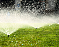 Watering restrictions are in place for Manatee and Sarasota counties.