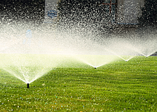 Watering restrictions are in place for Manatee and Sarasota counties.