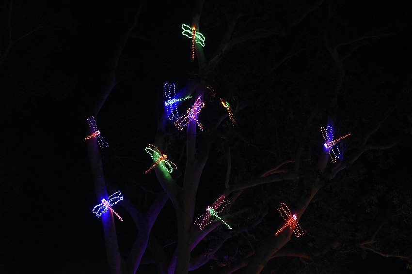 Dragonflies made of holiday lights adorn a tree.