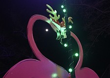 The moon shines between a pair of "Florida Reindeer."