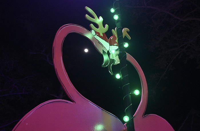The moon shines between a pair of "Florida Reindeer."