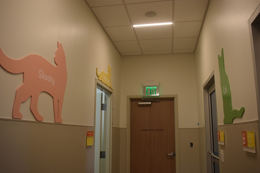 The hallways of Kity City, which was fully funded by Martha McKlveen, honors her current cats as well as favorites she was fostered.