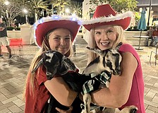 Myakka City 12-year-old Aliyah Burnett helps her neighbor, Corinn Smith of Blissful Goat Yoga, with the goats. She dressed them in Christmas outfits for Ranch Nite Wednesday Dec. 3.