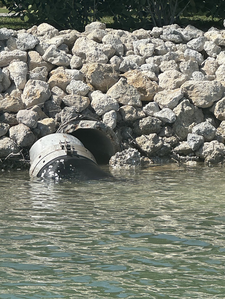 A broken duckbill backflow preventer on an outfall that empties stormwater from St. Armands Key into Sarasota Bay.