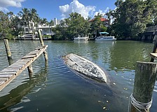 Sarasota Police on Monday recovered a sunken, capsized boat from Hudson Bayou that had been swamped for more than three years.