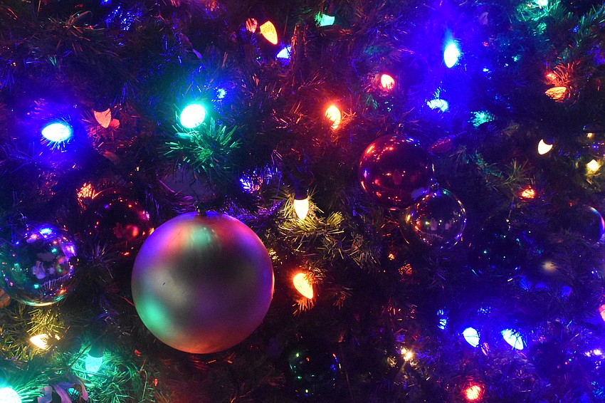 The tree has become a fixture of Selby Five Points Park.