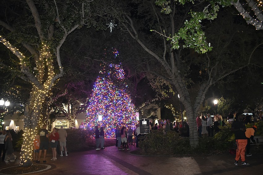 The tree is now a fixture of Selby Five Points Park.