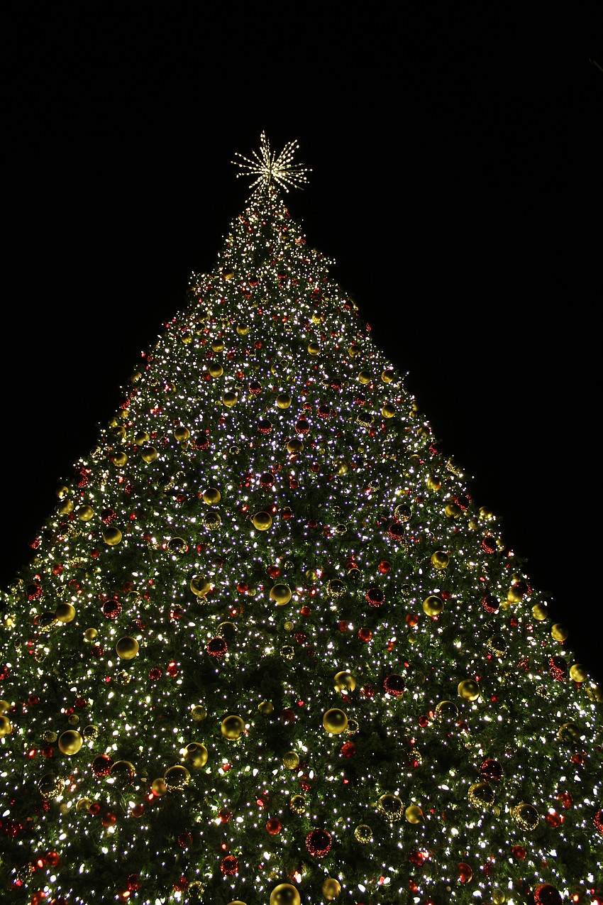 The 60-foot Christmas tree cut an impressive figure across the night's sky after the lighting on St. Armands Circle.