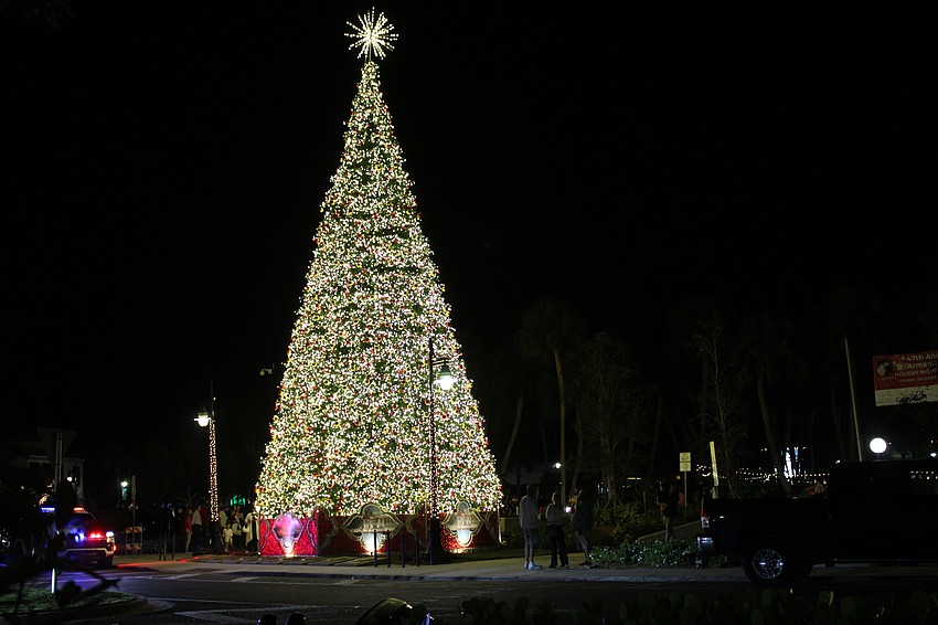 Tree-lighting attendees take their final looks at the tree towering over St. Armands Circle.