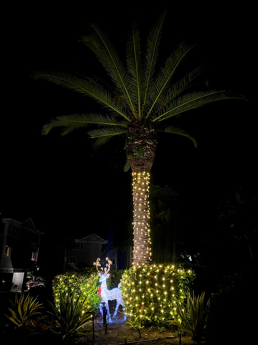 A glowing reindeer keeps watch in the night for the houses surrounding the cul-de-sac at the end of Evergreen Way.