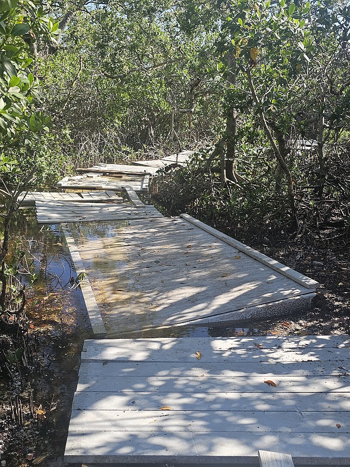 Boardwalks on Joan M. Durante’s walking trail were damaged from the 2024 hurricanes. Boardwalks on Joan M. Durante’s walking trail were damaged from the 2024 hurricanes.