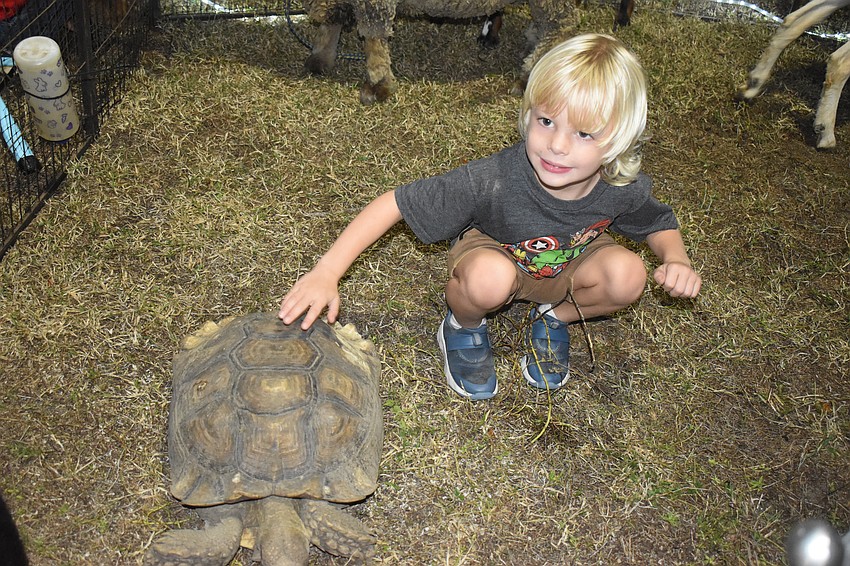Lakewood Ranch's Nikolai Lysaa, 5, was eager to touch every animal in the RCC Farm Experience petting zoo.
