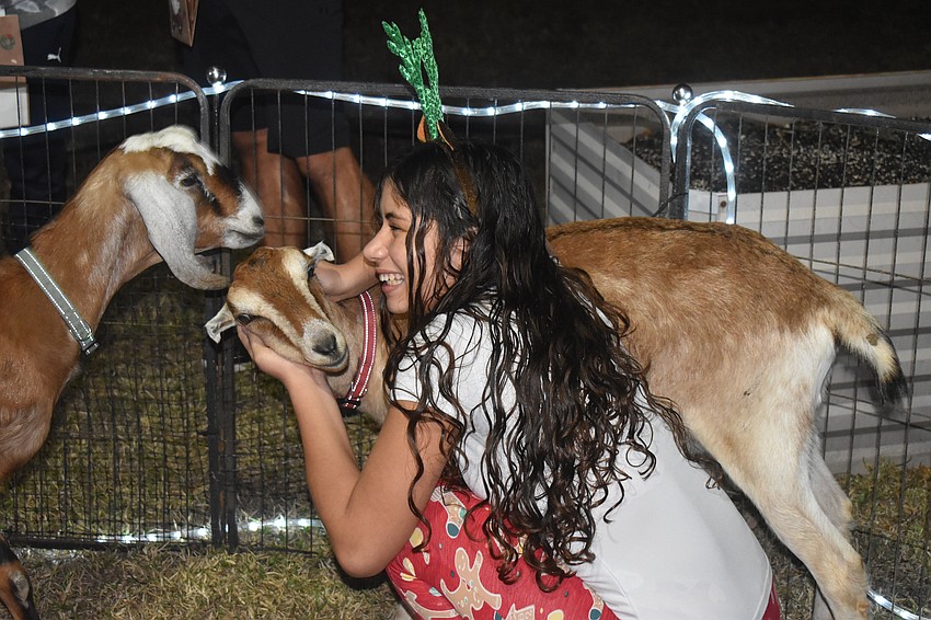 Nicolly Alvarenga Gomez, a junior at Braden River, makes sure the goats at the petting zoo get some nice pets.