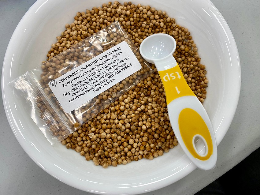 Hope Seeds volunteers packed about 5,000 cilantro seed packs and 1,400 onion packs Dec. 8 at Christ Church of Longboat Key.