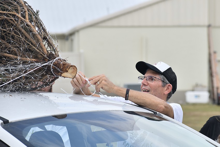 Don Jungles places a tree on a car roof.