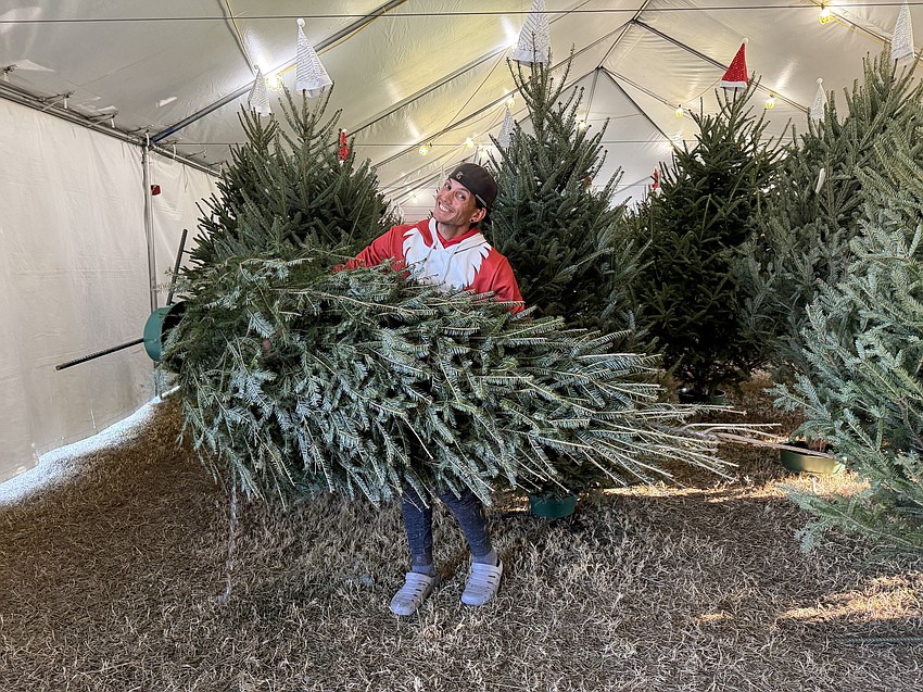 Kyle Flanigan has been selling Christmas trees for 15 years. He enjoys teaching the volunteers about work ethic.