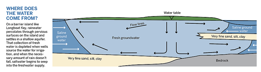 Fresh water forms a lens under barrier islands, separated from the salt water due to the differences in weight. As the fresh water supply is depleted during a drought, salt water seeps in.