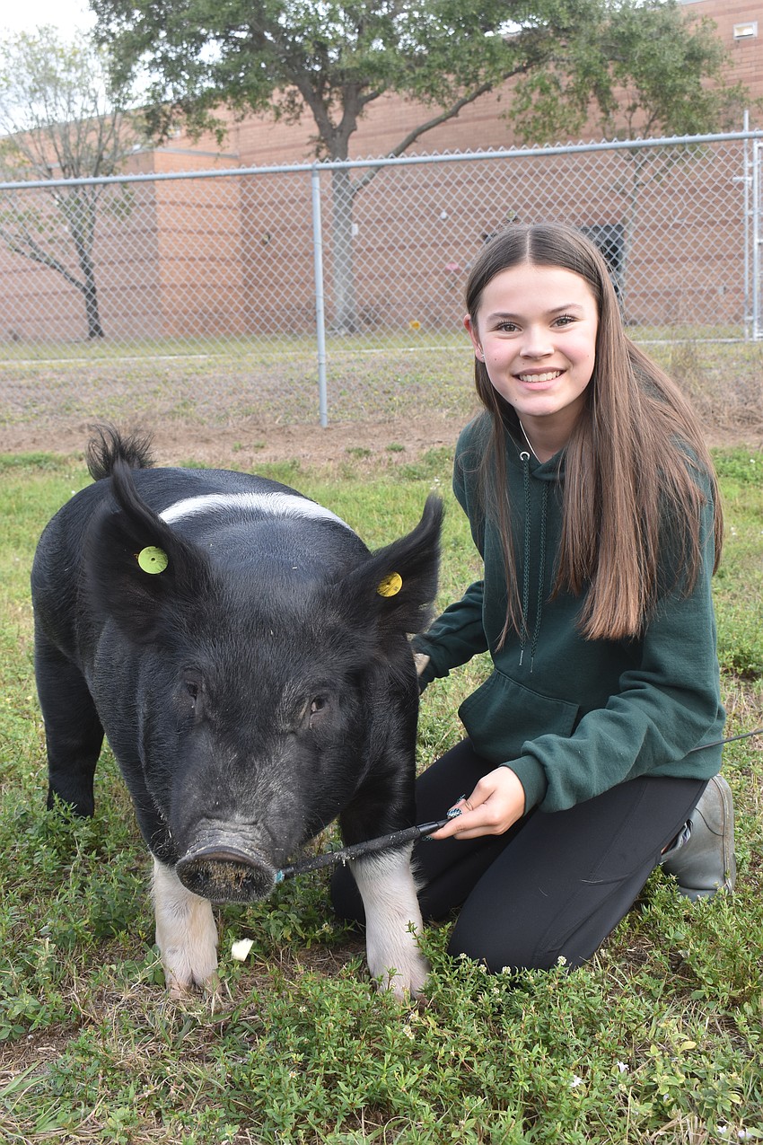 Kassidy Callaghan, a junior, is showing a hampshire cross named Boba who will eventually be sold on the market for meat.