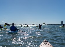 A group of 13 veterans and volunteers met at Ken Thompson Park on City Island where they embarked on kayaks for a guided tour of Sarasota Bay led by Wayne Douchkoff of Wayne Adventures and sponsored by Sarasota Bay Estuary Program.