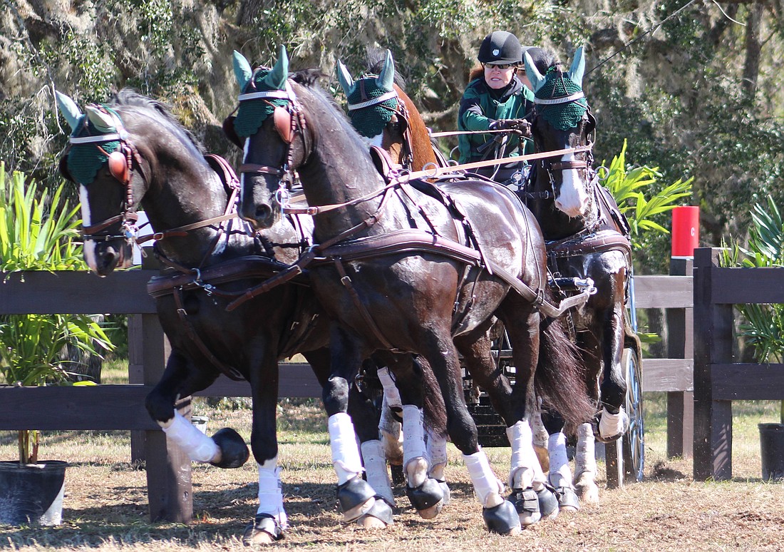 Lakewood Ranch's Misdee Miller won the four-in-hand division of the 2025 Combined Driving at TerraNova event but has decided not to defend later this month.