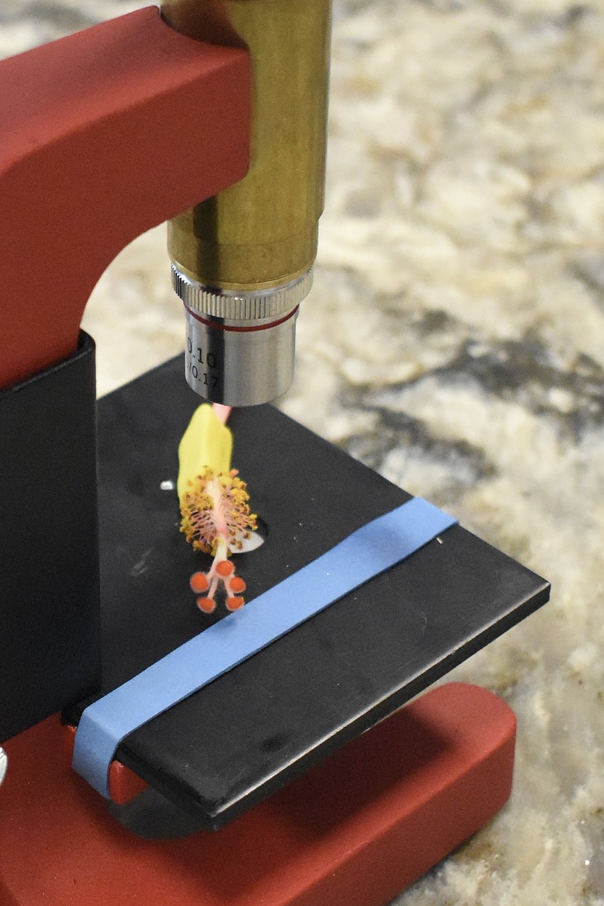 The Brock Magiscope is the only microscope made in America today, according to Brock Optical.