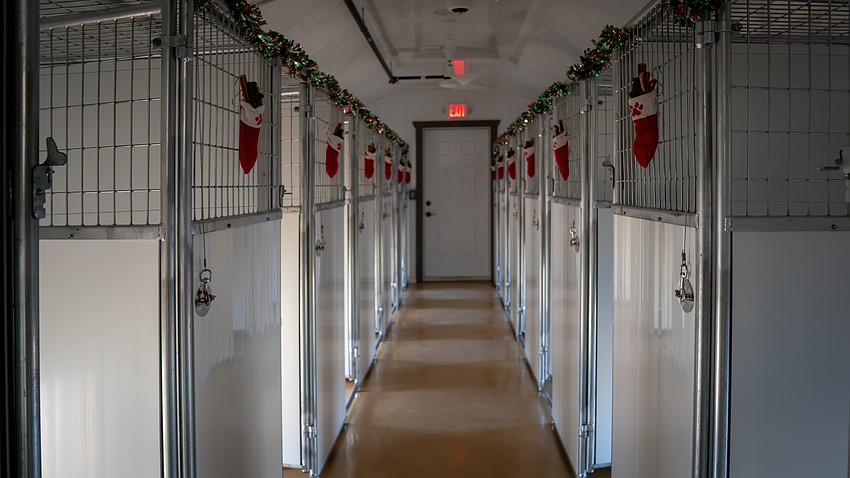 The dog kennels at Bishop Animal Shelter are shown to the public Dec. 17. Some residents are complaining that the prefab kennels are inadequate.