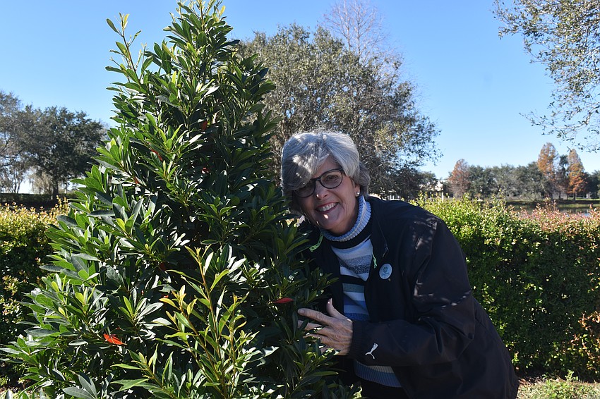 Karen Eckert, a member of Gardeners Out East since 2015, served four years as president. She was the decision maker who decided on a Japanese blueberry tree, which will not make a mess in the parking lot and can be easily shaped.