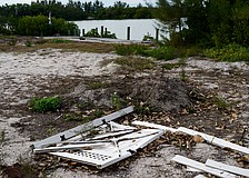 A vacant lot on N. Shore Road has some weed growth and is littered with debris from a fallen fence.