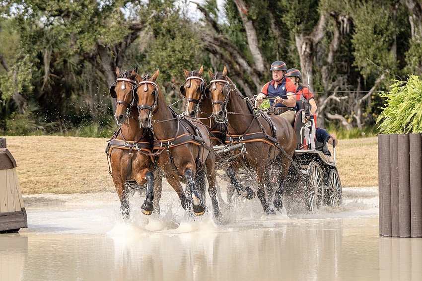 World champion four-in-hand driver Chester Weber of Ocala won his division of the Combined Driving at TerraNova event Jan. 23-25 in Myakka.