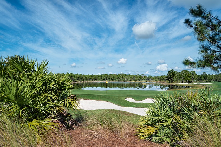 Some of the vegetation surrounding the course had to be trimmed back to provide wider pathways for spectators and golf carts. Some of the vegetation surrounding the course had to be trimmed back to provide wider pathways for spectators and golf carts.