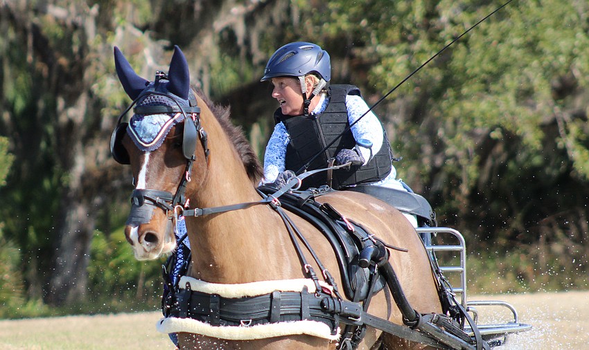 Patricia Mann and her horse Korenda head toward an obstacle.
