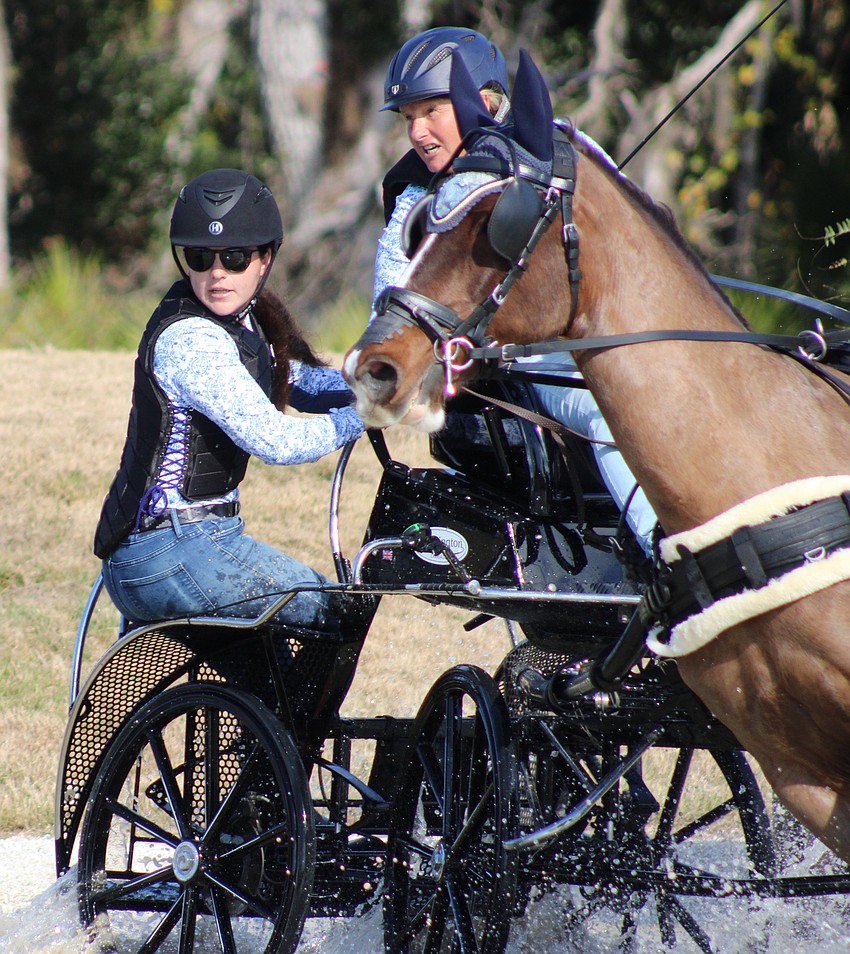 Driver Patricia Mann was just one of 111 entries into the 2026 Combined Driving at TerraNova event in Myakka.