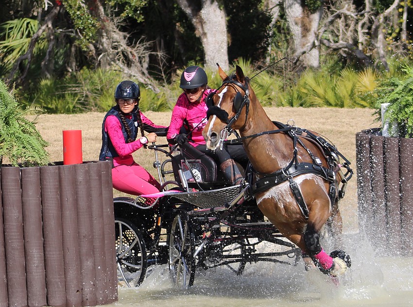 Madeline Kurtz holds on tight into a sharp turn as driver Leslie Bernd handles the reins during the marathon of Combined Driving at TerraNova on Jan. 24.