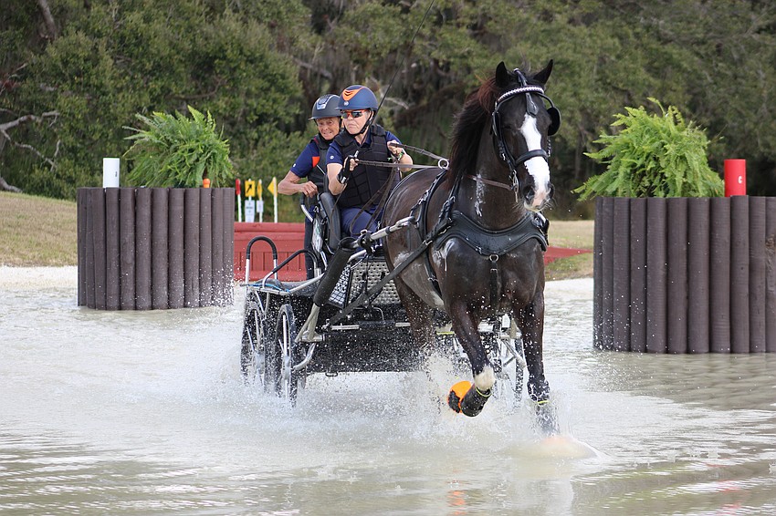 Navigator Melissa Auen and driver Janet Crumpton make it through a water obstacle at the Combined Driving at TerraNova competition Jan. 24.