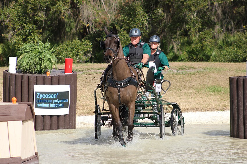William Burkett and his wife and navigator Jennifer Burkett look like they are going out for a Sunday stroll during the Combined Driving at TerraNova marathon day of competition Jan. 24.