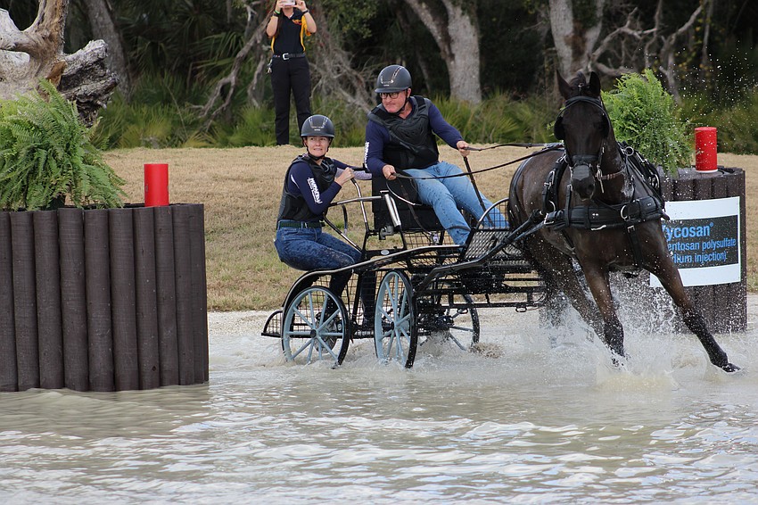 Sarasota's Scott Adcox is the only local driver competing in the Combined Driving at TerraNova event at TerraNova Equestrian Center.