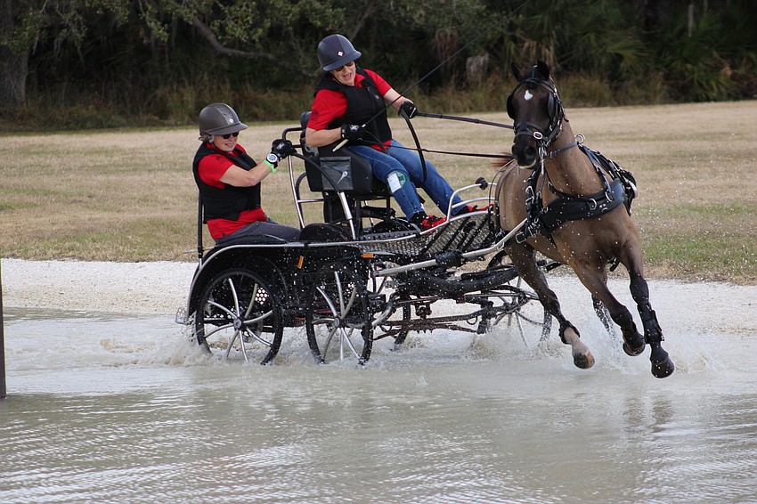 Navigator Jann Normington has a firm grip as driver Barbara Chapman urges Jory Blue through a hazard. The team finished first in Prelim Single Pony.