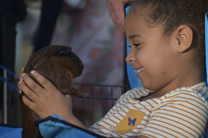 Mina Anderson-Wolfson holds a guinea pig, Brownie, at the Emit's Adventure tent.