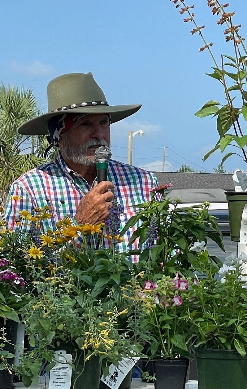 Gilbert Daigneau describes butterflies as the 