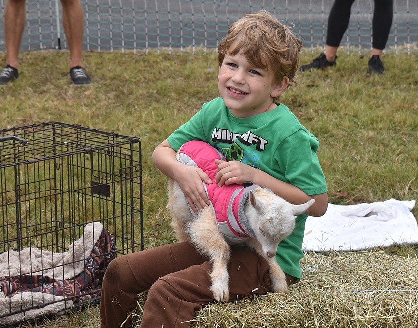 Liam Reedy was one of Kelly Miles' students last year. He is eager to cuddle with a baby goat brought by Katy and Caelan Alonge after the run.