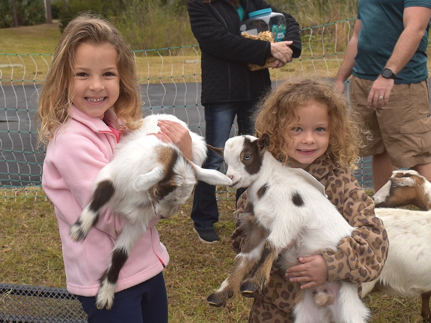 Amelia Morgan, 5, and Vivien Blevins, 6, cuddle baby goats that were brought to the Miles for the Miles Family Cozy Cocoa Dash by Katy and Caelan Alonge.