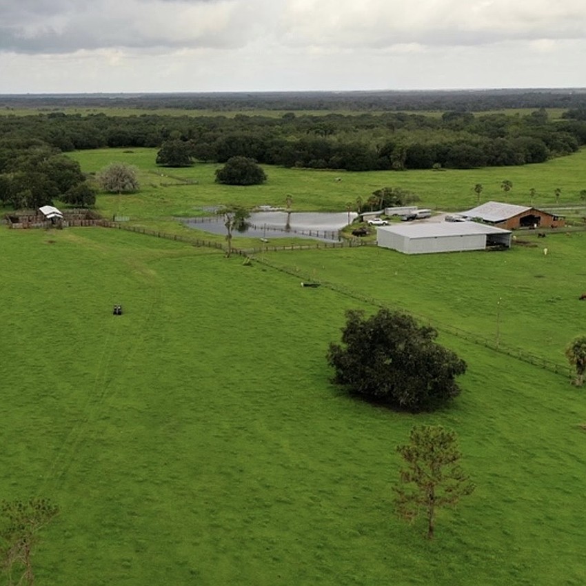 Mossy Island Ranch is located in Myakka City.