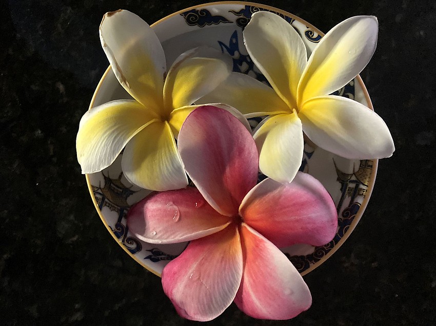 John Mange took this photo of a bunch of fallen plumeria collected on a walk near Sunrise Cover on Siesta Key.