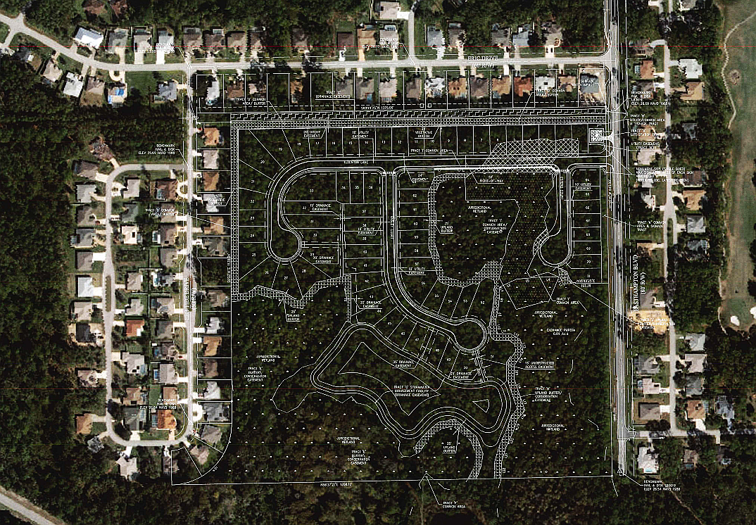 A developer in the E Section of Palm Coast is asking for an increase of 13 homes, reducing the minimum lot size to 5,500 square feet. Image from Palm Coast meeting documents