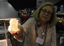 Shue Hobbs holds the iridescent shell of the green turban sea snail to the light.