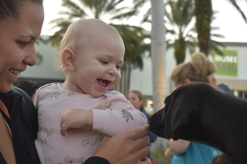 Sarasota's Mau Unworth and her daughter Juliet, 1, share smiles with 2-month-old Sweetpea who is available for adoption at Nate's Honor Animal Rescue Center.