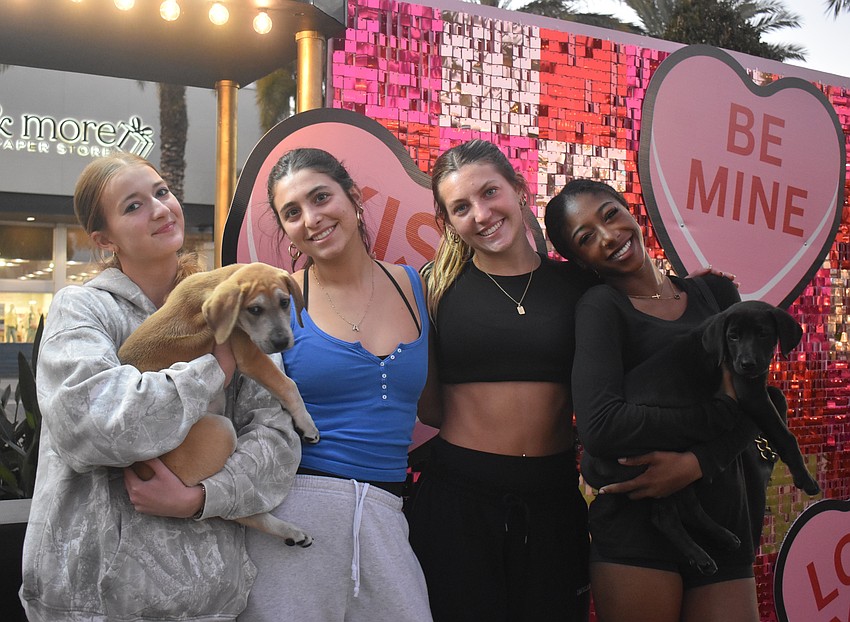 Sarasota's Alana Biller, Ana Yavitz, Aubrey Flint and Ryann Young think the puppies, 2-month-old litter mates Sadie and Sweetpea, are adorable.