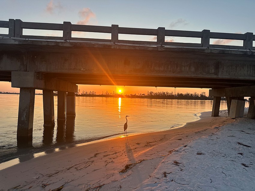 John Wagman captured this photo of a heron at sunrise on Longboat Key.